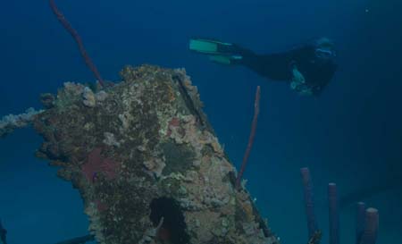 12120620061212DSC_4127