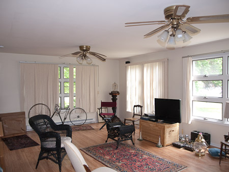 Florida Strawberry Side